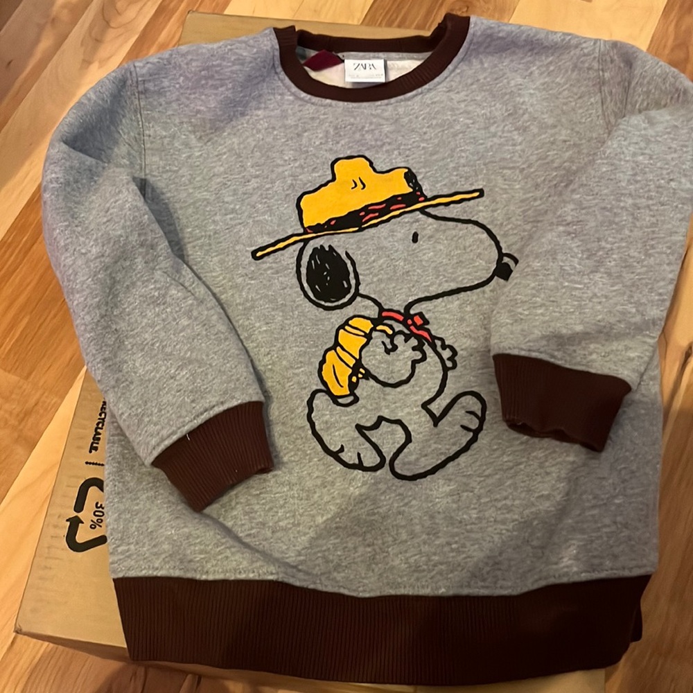 Boys Zara sweatshirt